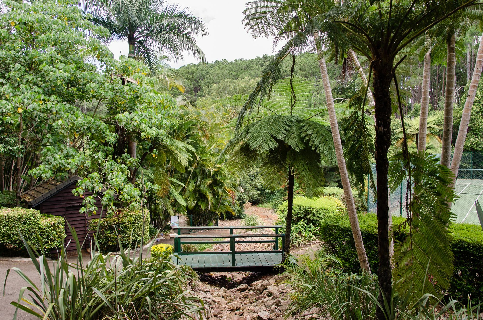 Montville Mountain Inn Εξωτερικό φωτογραφία